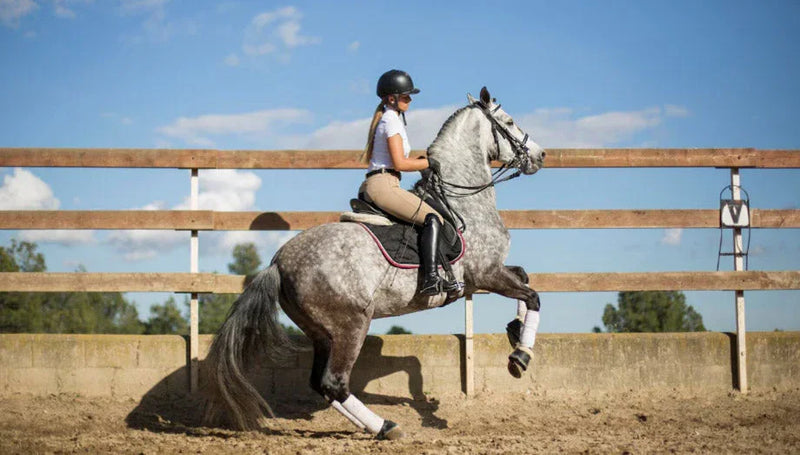 Essential-Horse-Riding-Gear-Guide Horseuae