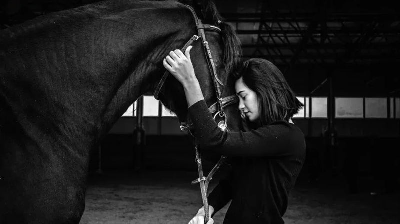 Exploring-the-Unique-Horse-Human-Connection-Understanding-a-Timeless-Bond Horseuae