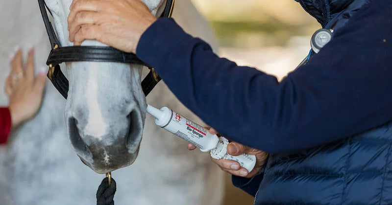 Complete-Guide-to-Horse-Electrolytes Horseuae