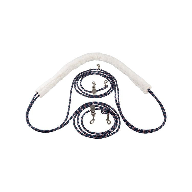 Equestro Pessoa Training Aid