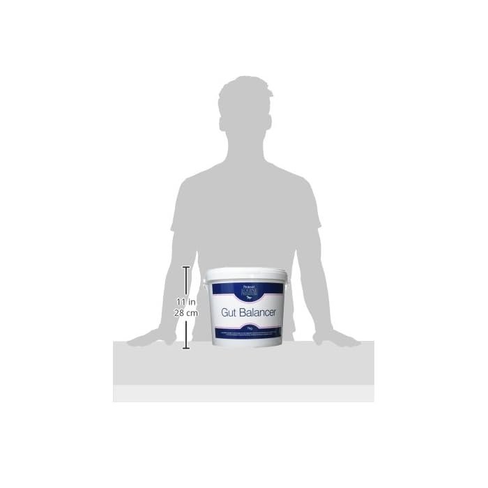 Protexin Equine Premium Gut Balancer