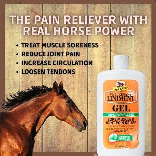 Absorbine Veterinary Liniment Gel