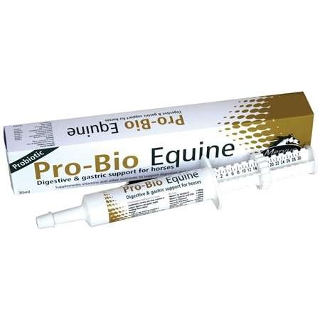 Mervue Equine Probio Equine Paste - Horseuae