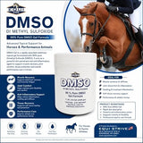 Equi Strive DMSO Gel 99% Pure Dimethyl Sulfoxide Equi