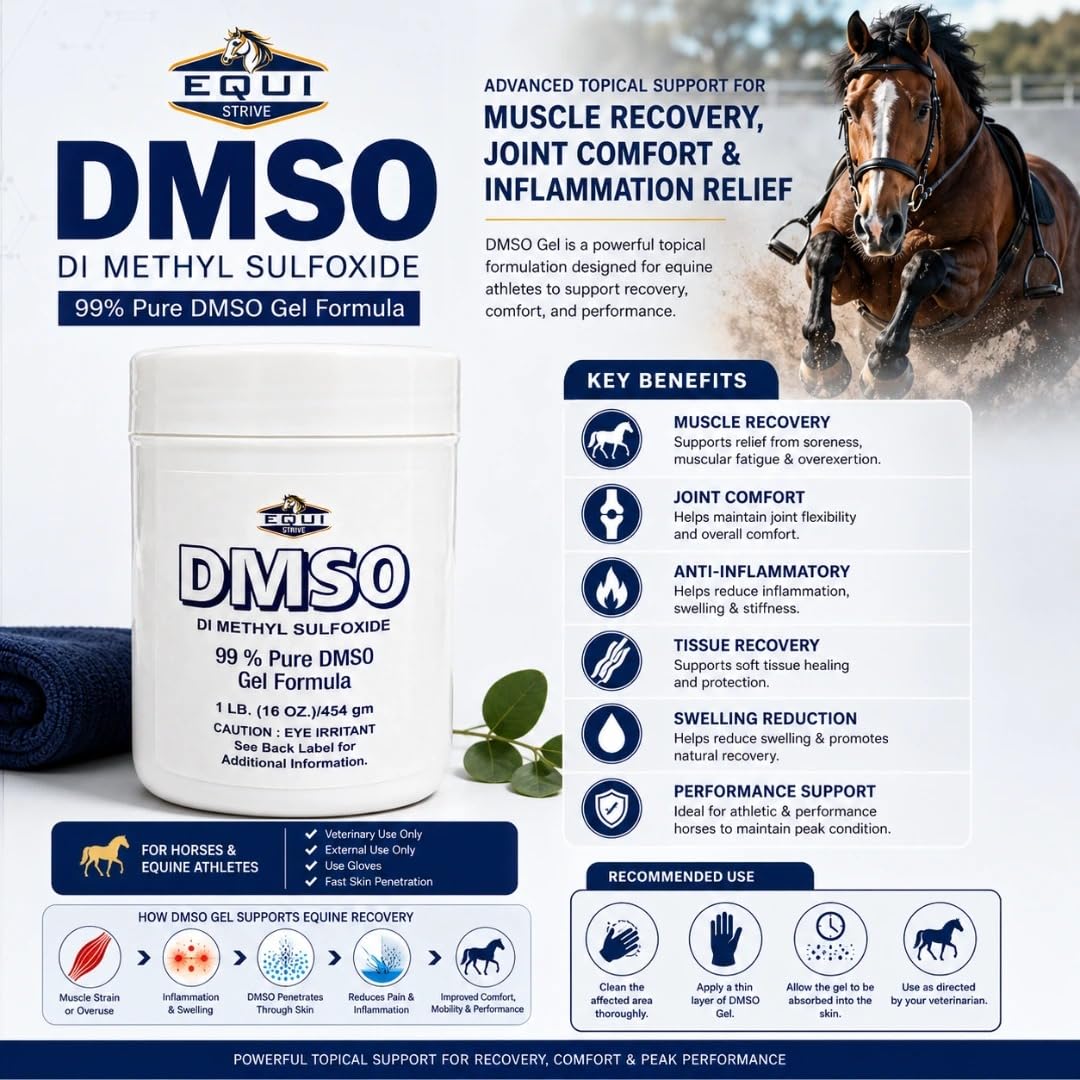 Equi Strive DMSO Gel 99% Pure Dimethyl Sulfoxide Equi