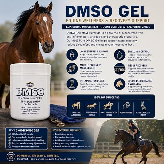 Equi Strive DMSO Gel 99% Pure Dimethyl Sulfoxide Equi