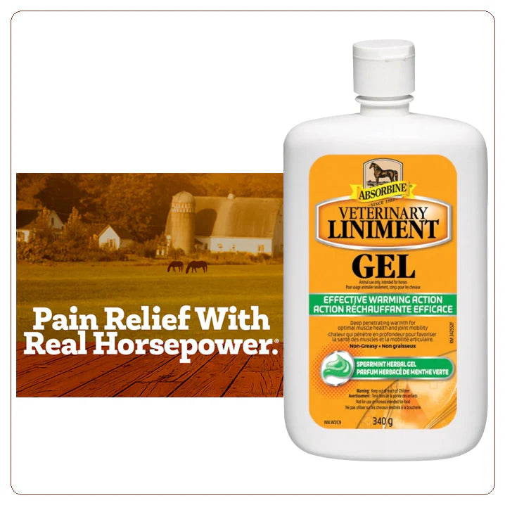 Absorbine Veterinary Liniment Gel