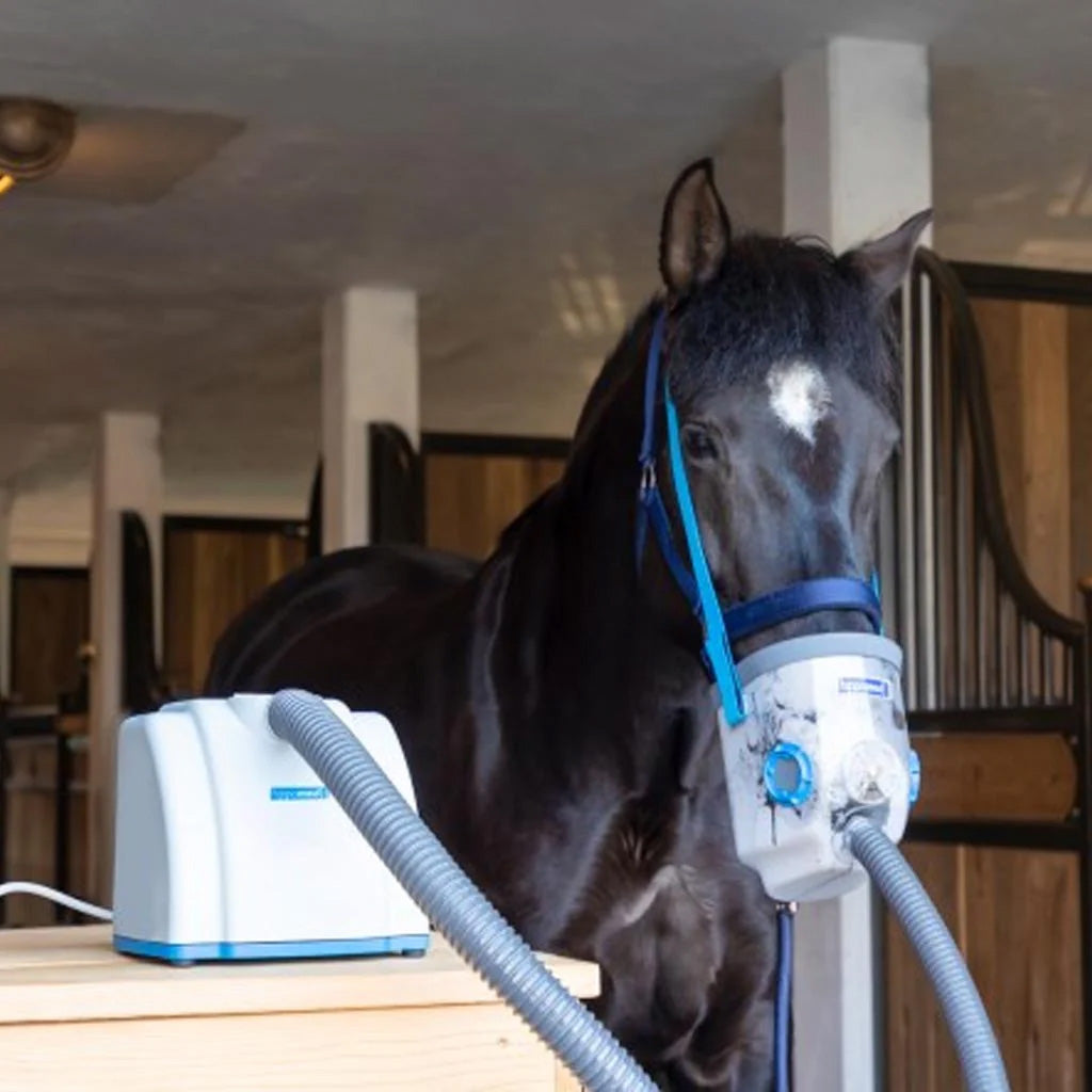 AIR ONE Ultrasound Inhaler for Horses – Hippomed Mains-Operated Equine Nebuliser Hippomed