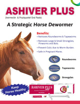 Ashiver Plus Horse Dewormer ALS