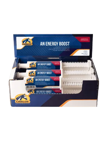 Cavalor An Energy Boost 60g