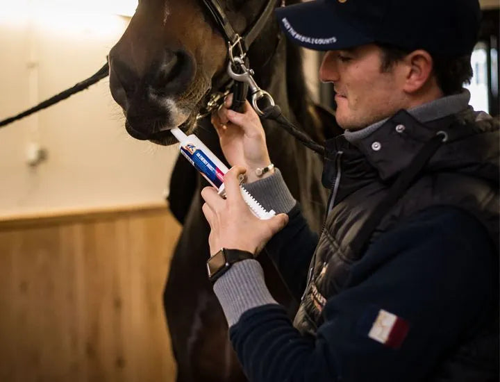 Cavalor An Energy Boost 60g