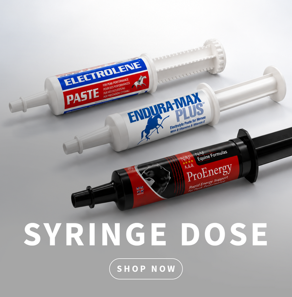 Equine Syringe Dose Supplements