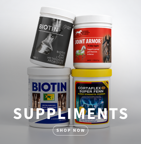 SUPPLEMENTS