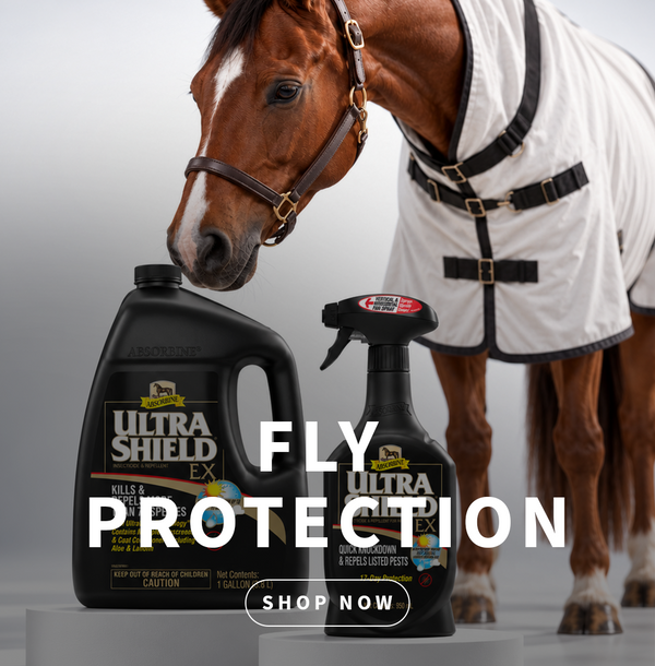 FLY PROTECTION