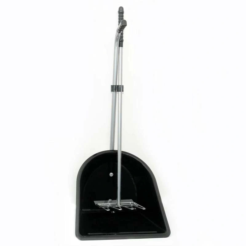 Beucephal Stablemate With Scoop