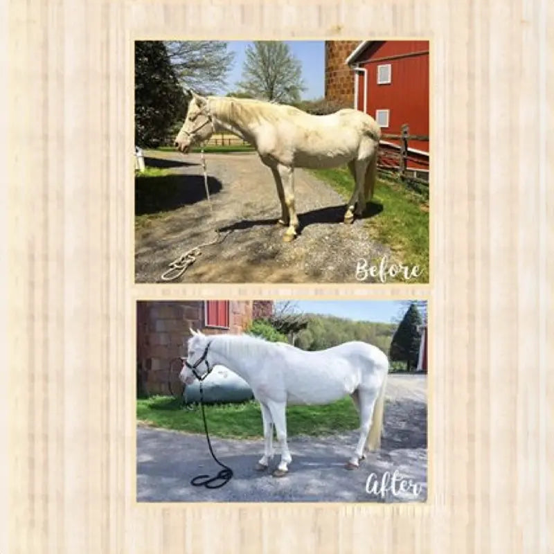 ORVUS W.A. Paste – Multi-Purpose Cleaning & Washing Paste Horseuae