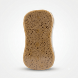 Beucephal Horse Grooming Sponge Beucephal