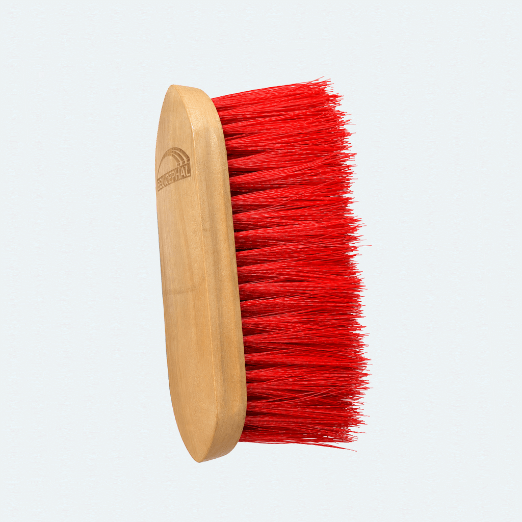 Beucephal Wooden Grooming Brush (Long Bristles) Beucephal