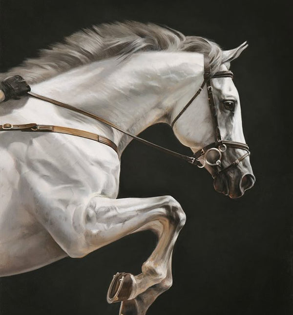 HORSE BITS