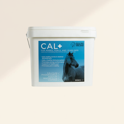 Cal +™ - Leading Broodmare and young horse supplement