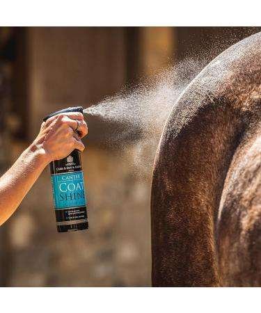 Carr & Day & Martin Canter Coat Shine