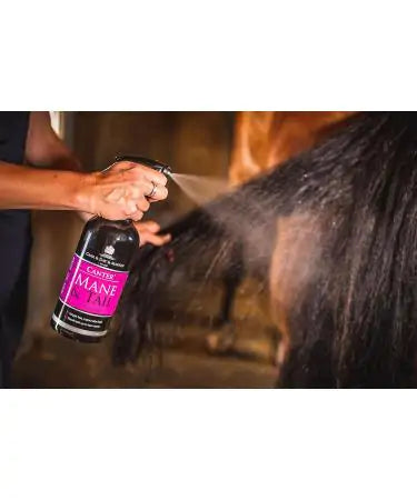 Carr & Day & Martin Canter Mane&Tail Conditioner