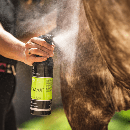 Carr & Day & Martin Citromax Insect Repellent Spray