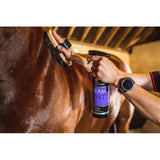 Carr & Day & Martin Dream Coat