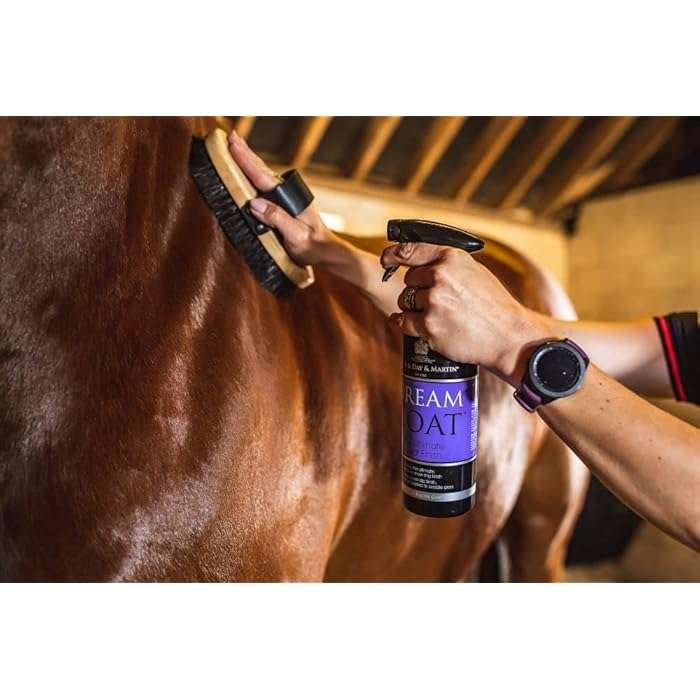 Carr & Day & Martin Dream Coat