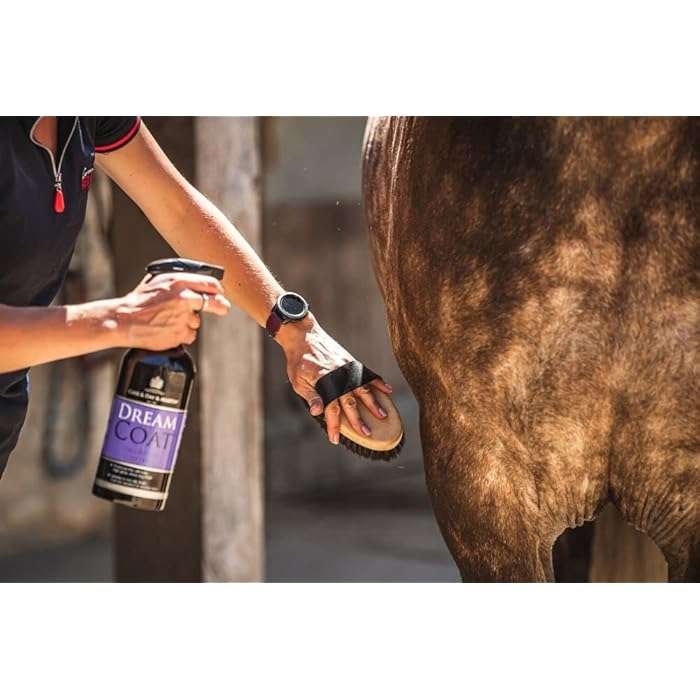 Carr & Day & Martin Dream Coat