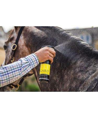 Carr & Day & Martin Fly Gard