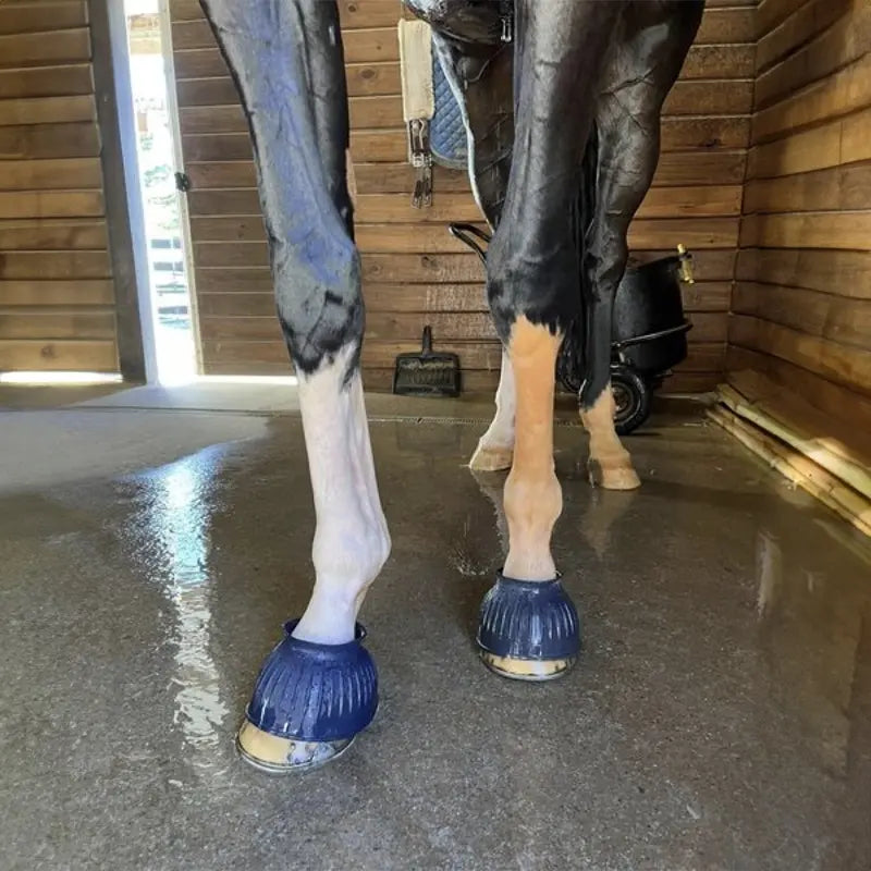 ORVUS W.A. Paste – Multi-Purpose Cleaning & Washing Paste Horseuae