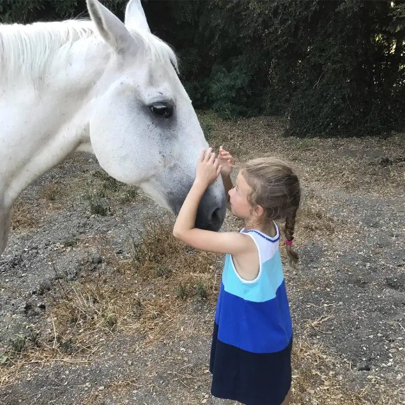 ORVUS W.A. Paste – Multi-Purpose Cleaning & Washing Paste Horseuae