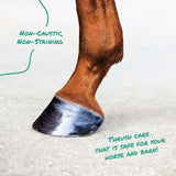 Corona Thrush+Shield