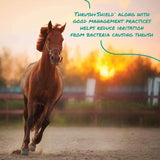 Corona Thrush+Shield