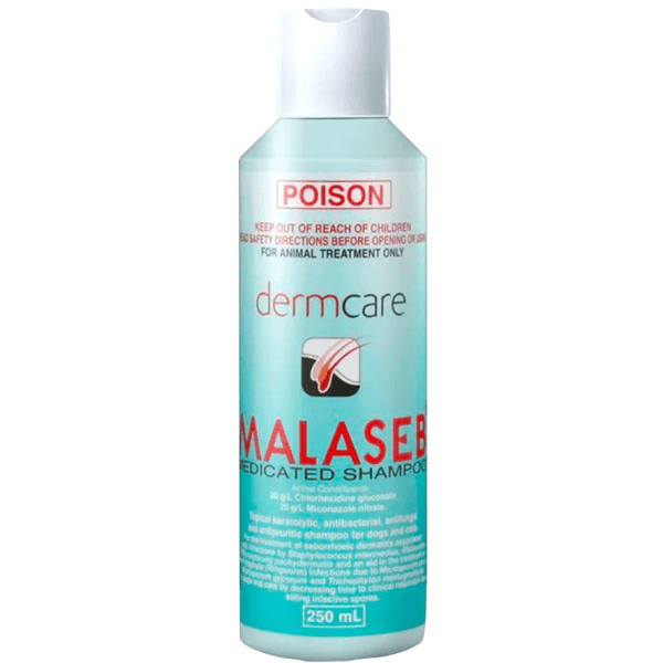 Dermcare Malaseb Medicated Shampoo 250 ml - Horseuae