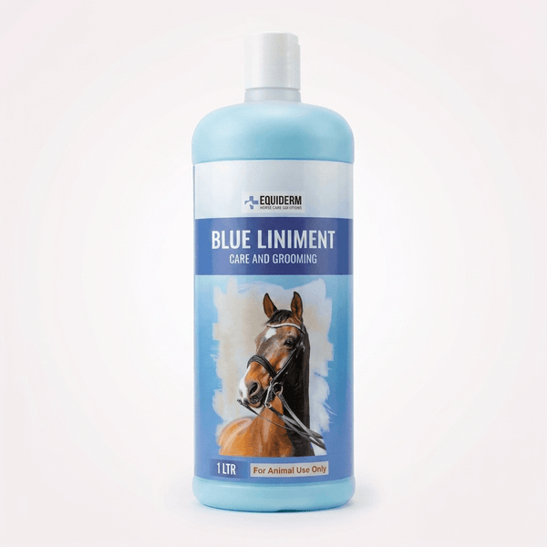 Equiderm Blue Liniment | Cooling Sore Muscle & Joint Pain Relief Liquid for Horses EQUIDERM
