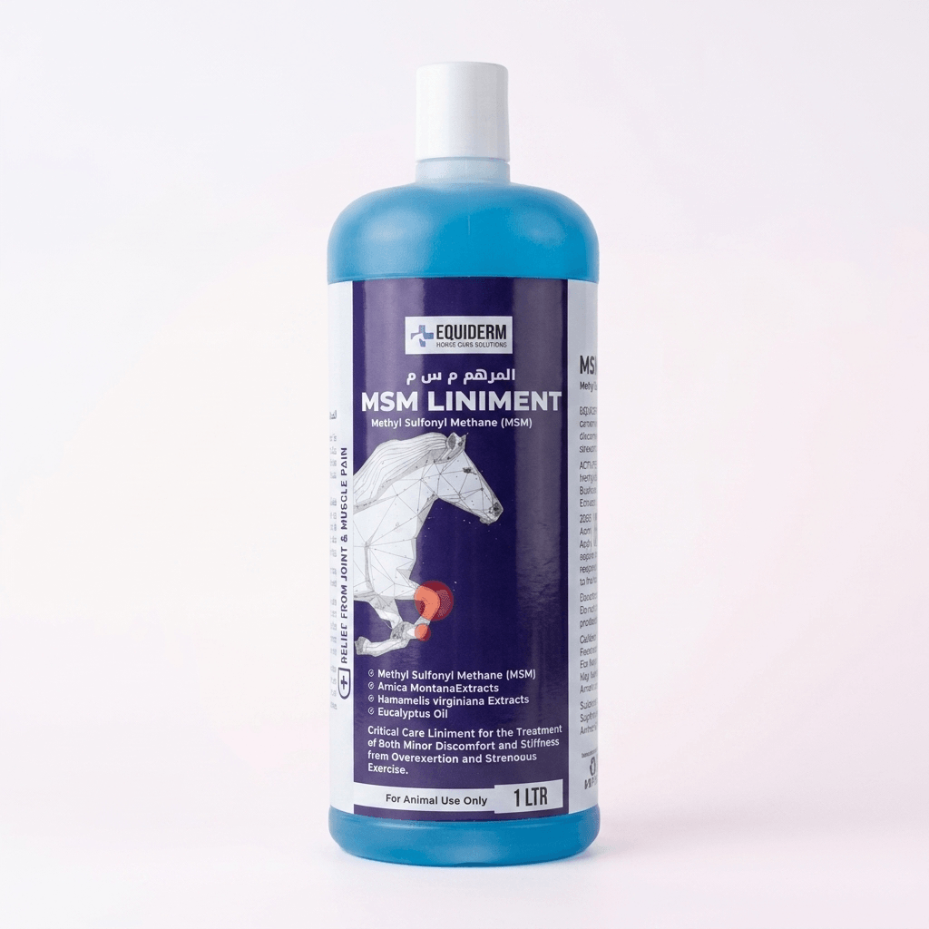 Equiderm MSM Liniment | Advanced Joint, Tendon & Muscle Recovery Rub for Horses EQUIDERM