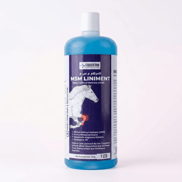 Equiderm MSM Liniment | Advanced Joint, Tendon & Muscle Recovery Rub for Horses EQUIDERM