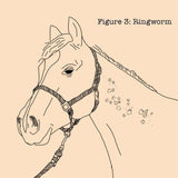 Absorbin Fungasol Ointment 368grm