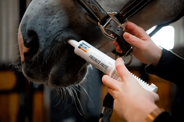 Cavalor Freebute Paste 60g