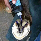 Frog Dressing Diamond