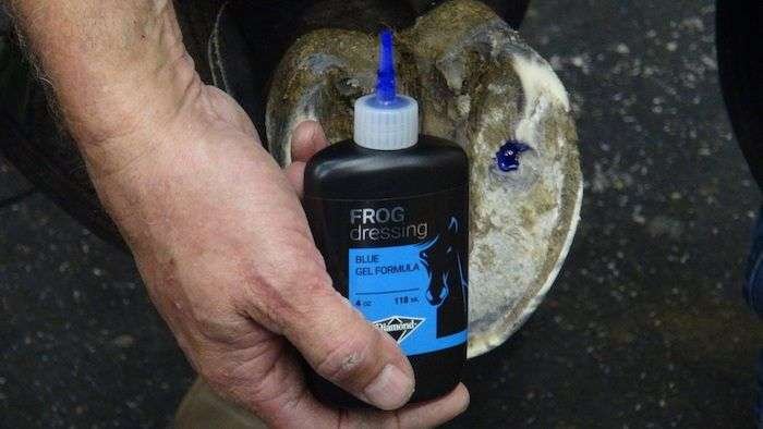 Frog Dressing Diamond