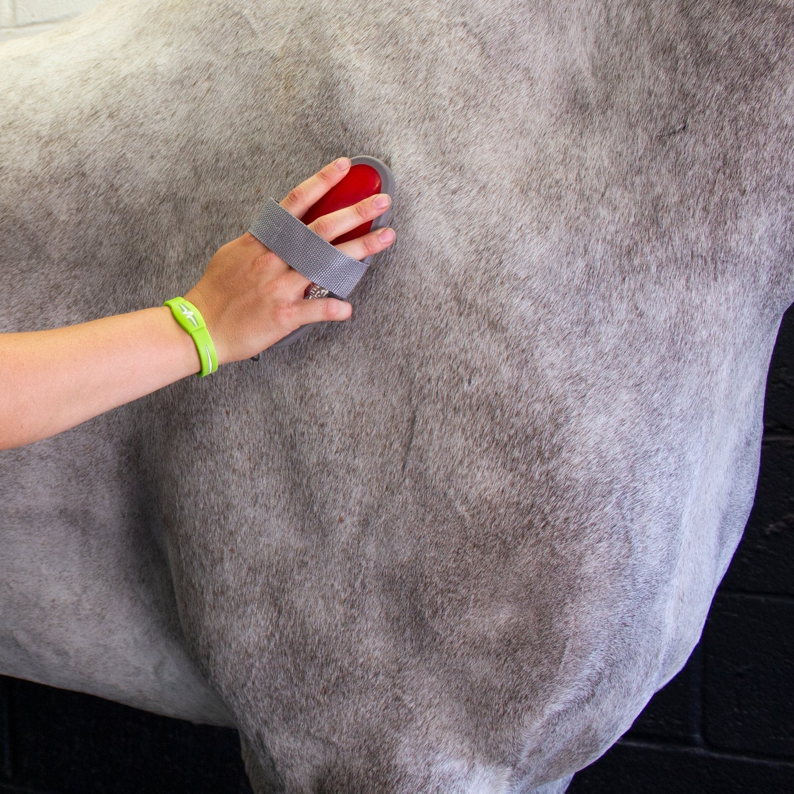 Red Gorilla Dandy Brush