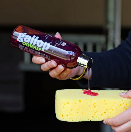 شامبو كار آند داي آند مارتن جالوب لتعزيز لون الشعر