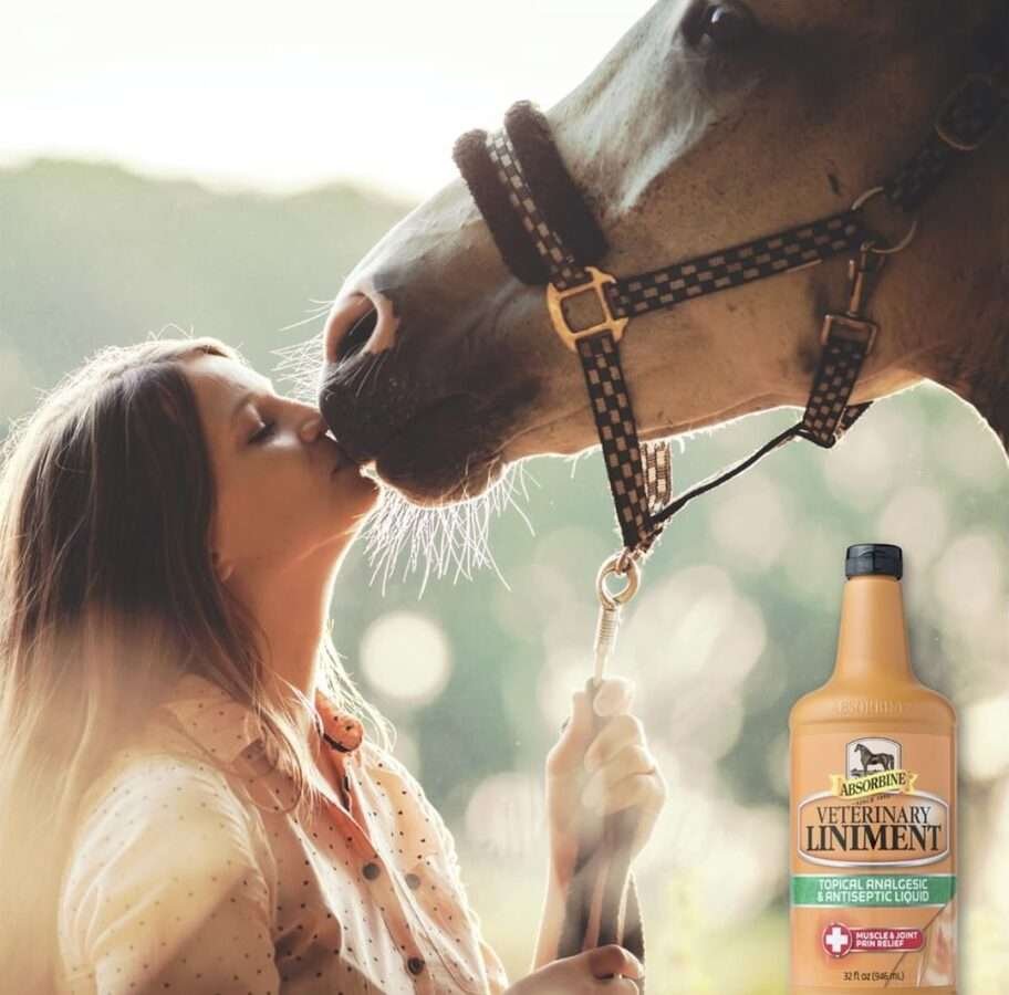 Absorbine Veterinary Liniment