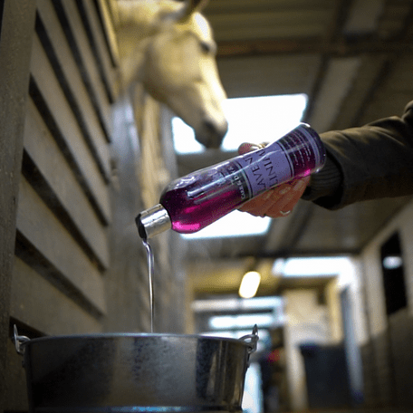Carr & Day & Martin Lavander Liniment