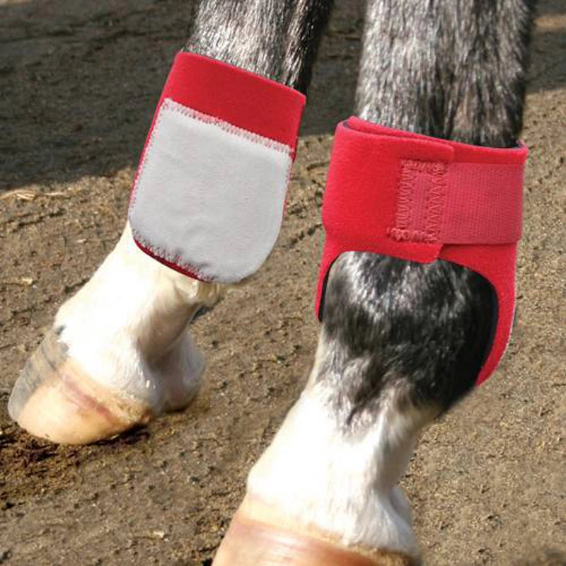 Professional’s Choice Rear Ankle Boots