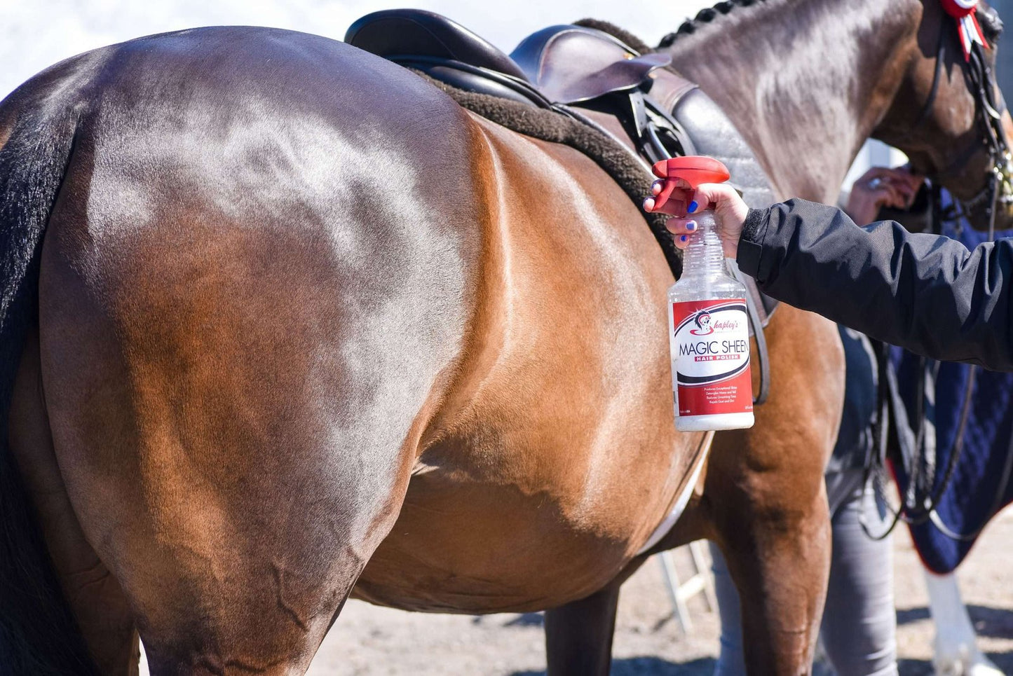 Shapley’s Magic Sheen