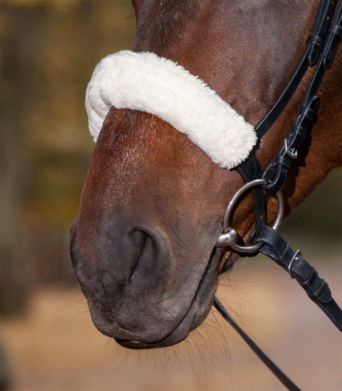Beucephal Fleece Noseband Cover Beucephal